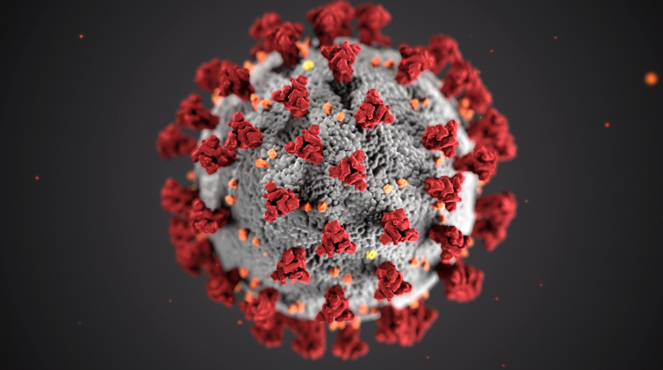 How the COVID-19 vaccine roll-out is affecting your investments